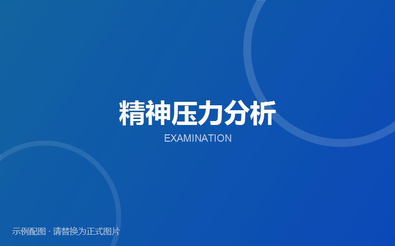 精神压力分析
